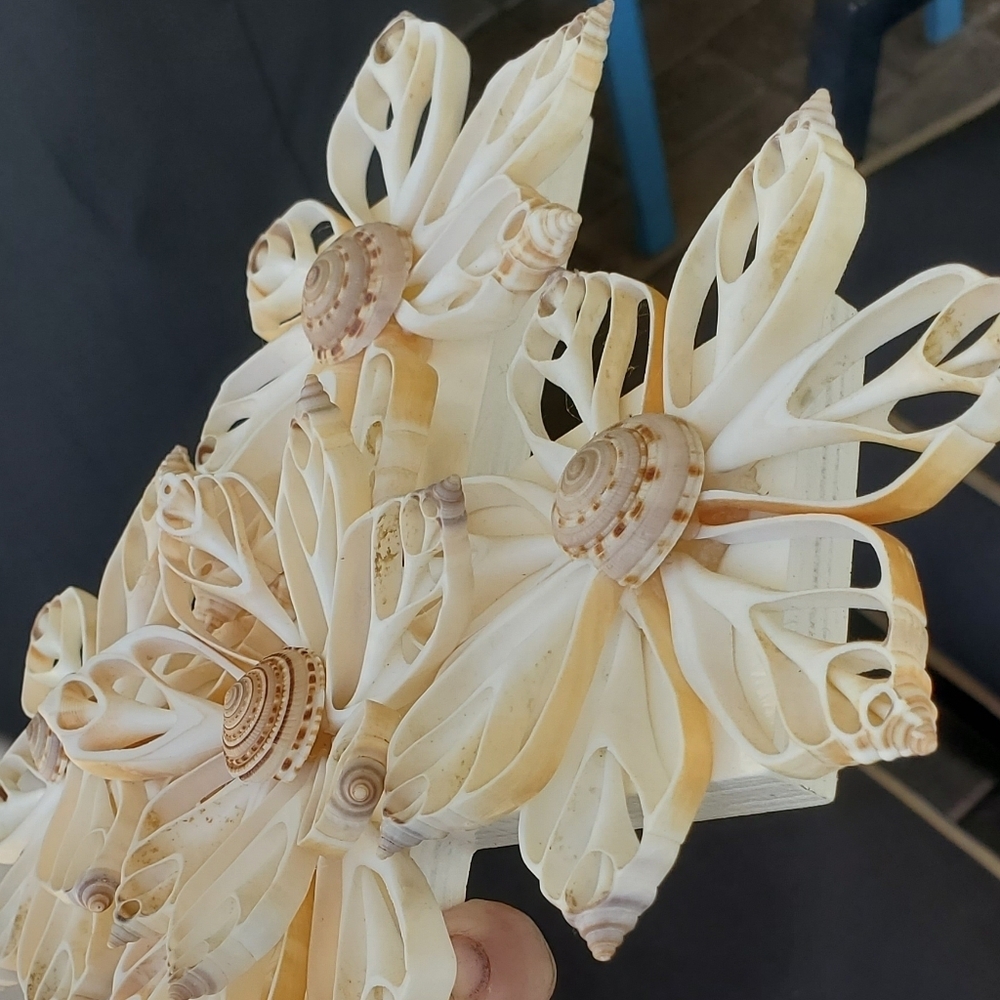 Seashell Crucifix Cross - Picture 11 of 12
